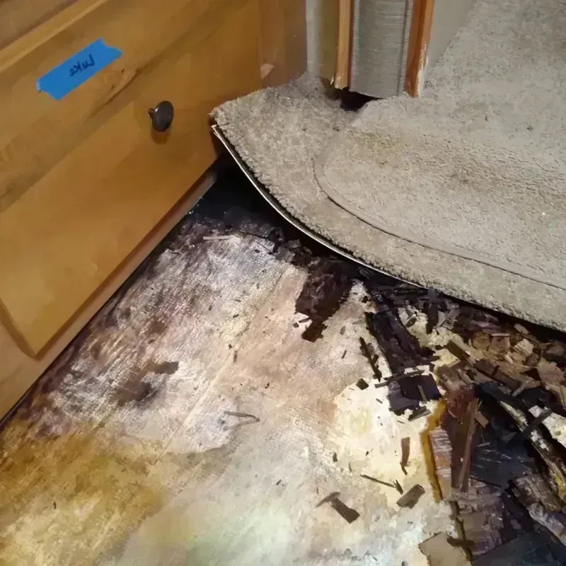 Wood Floor Water Damage in Highland Park, IL